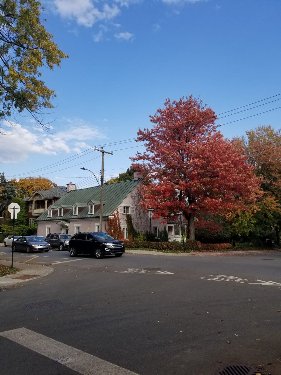 Добро пожаловать в блог "Иностранка"! 
