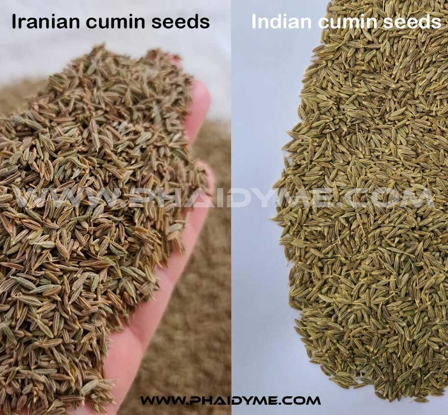Phaidyme cumin seeds vs indian cumin seeds