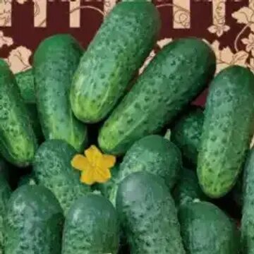 прикольные открытки про женщин. где тут моя жена. пошли мужики на охоту анекдот. сфинкс приколы с надписями. где тут моя жена.