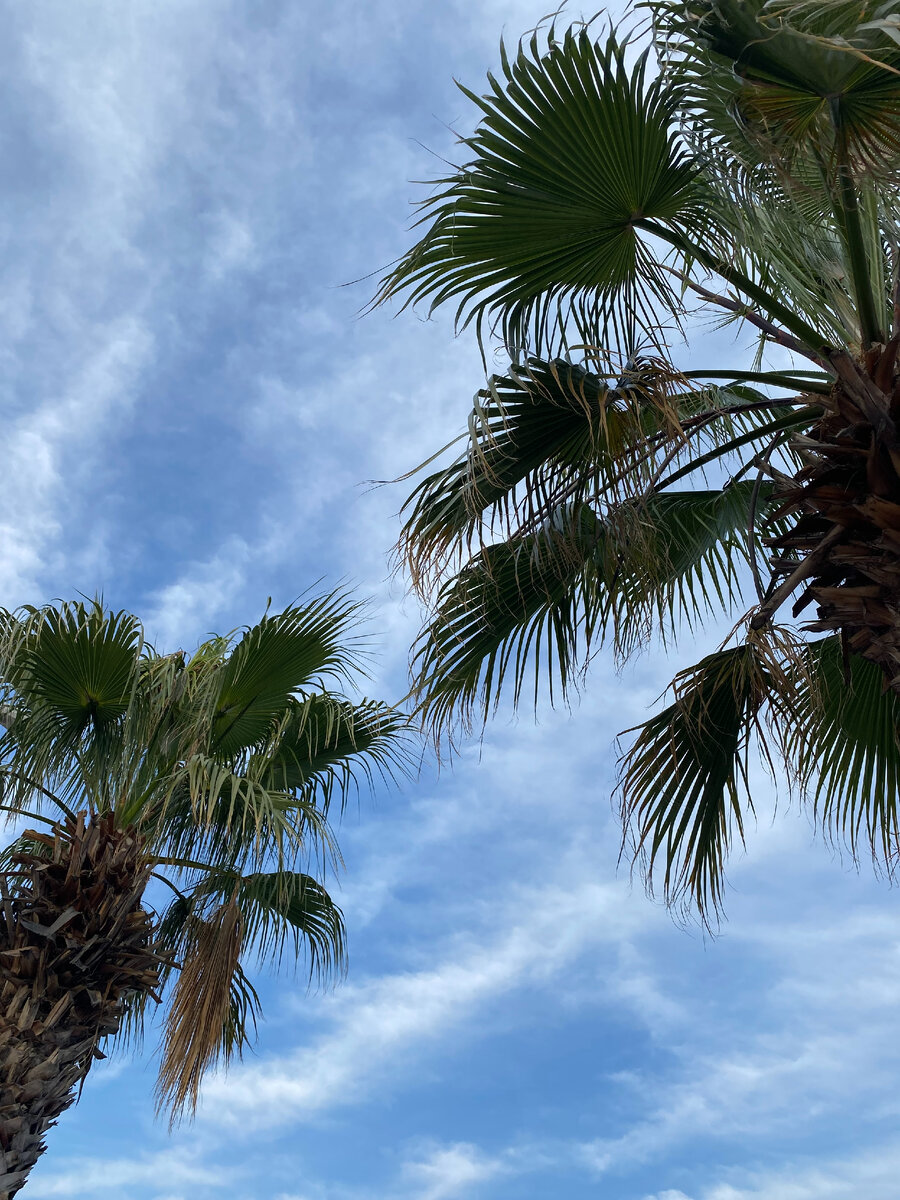 Променад на набережной Мармариса