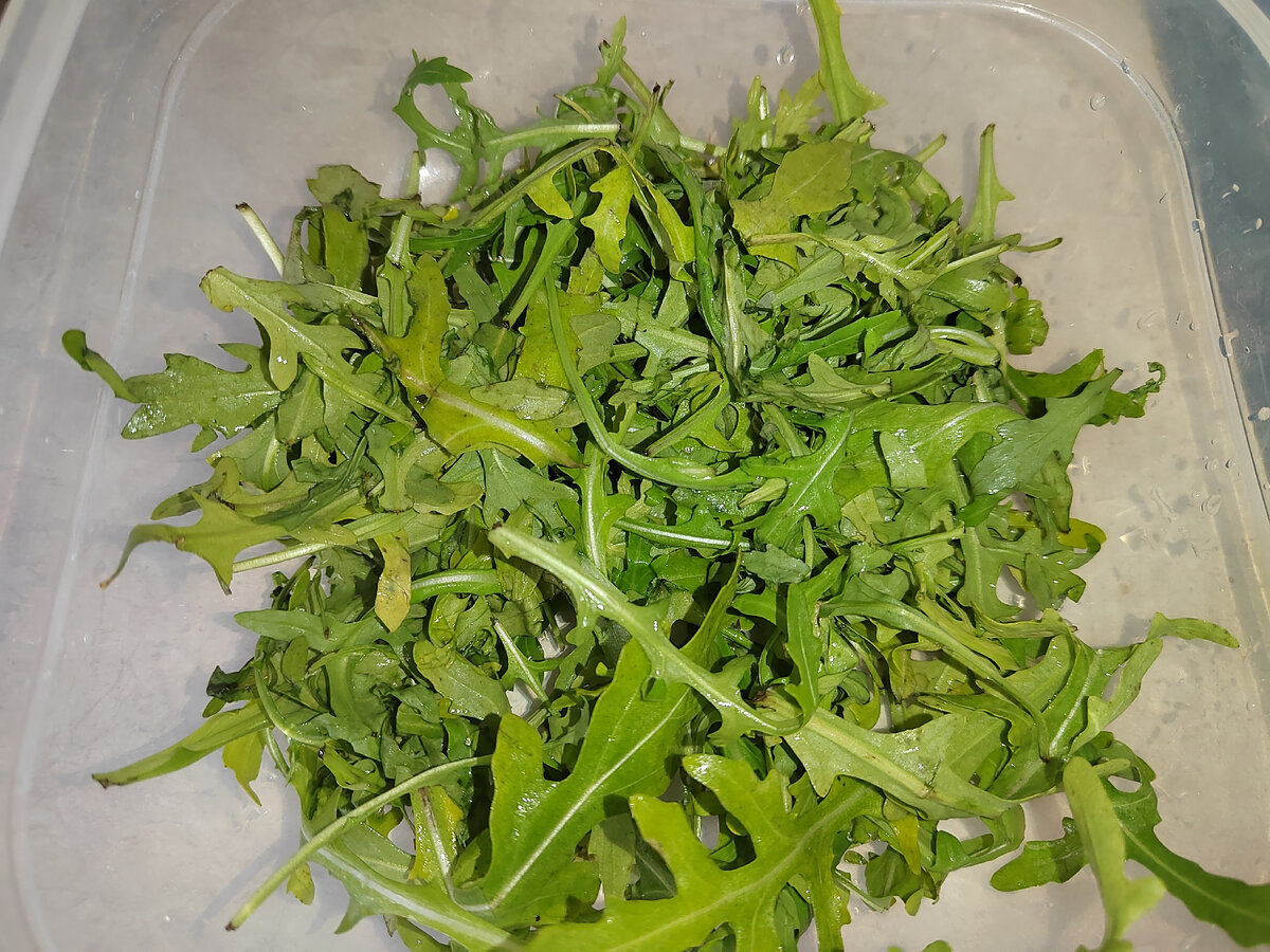 Фото автора канала.