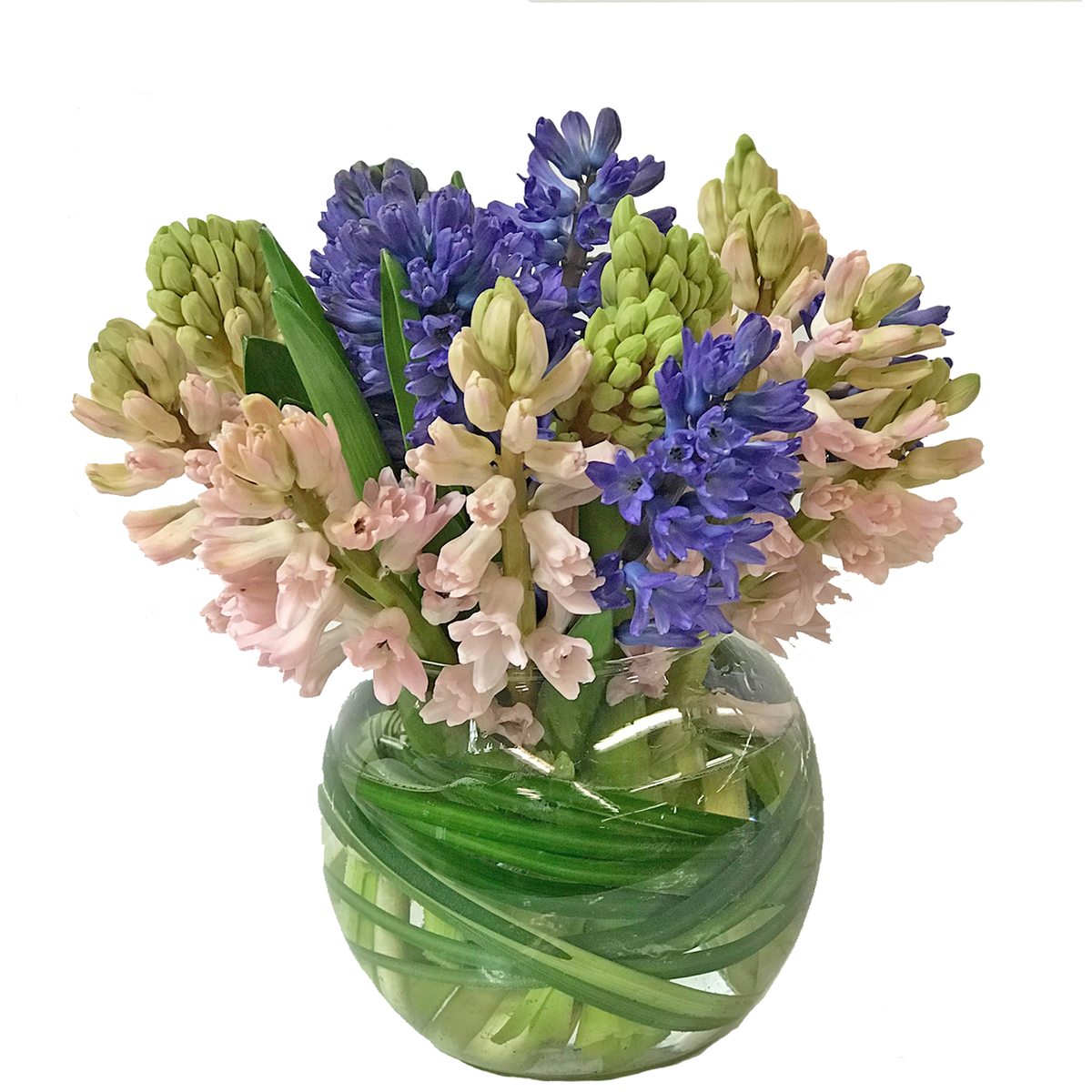 Гиацинты в букетах