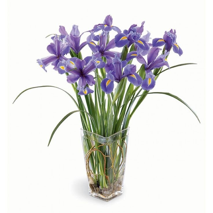 Ирисы в букетах