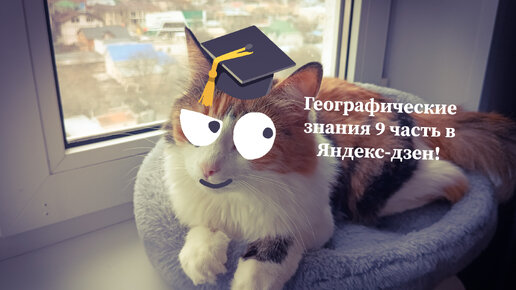 Географические знания 9 часть! 😺🎓