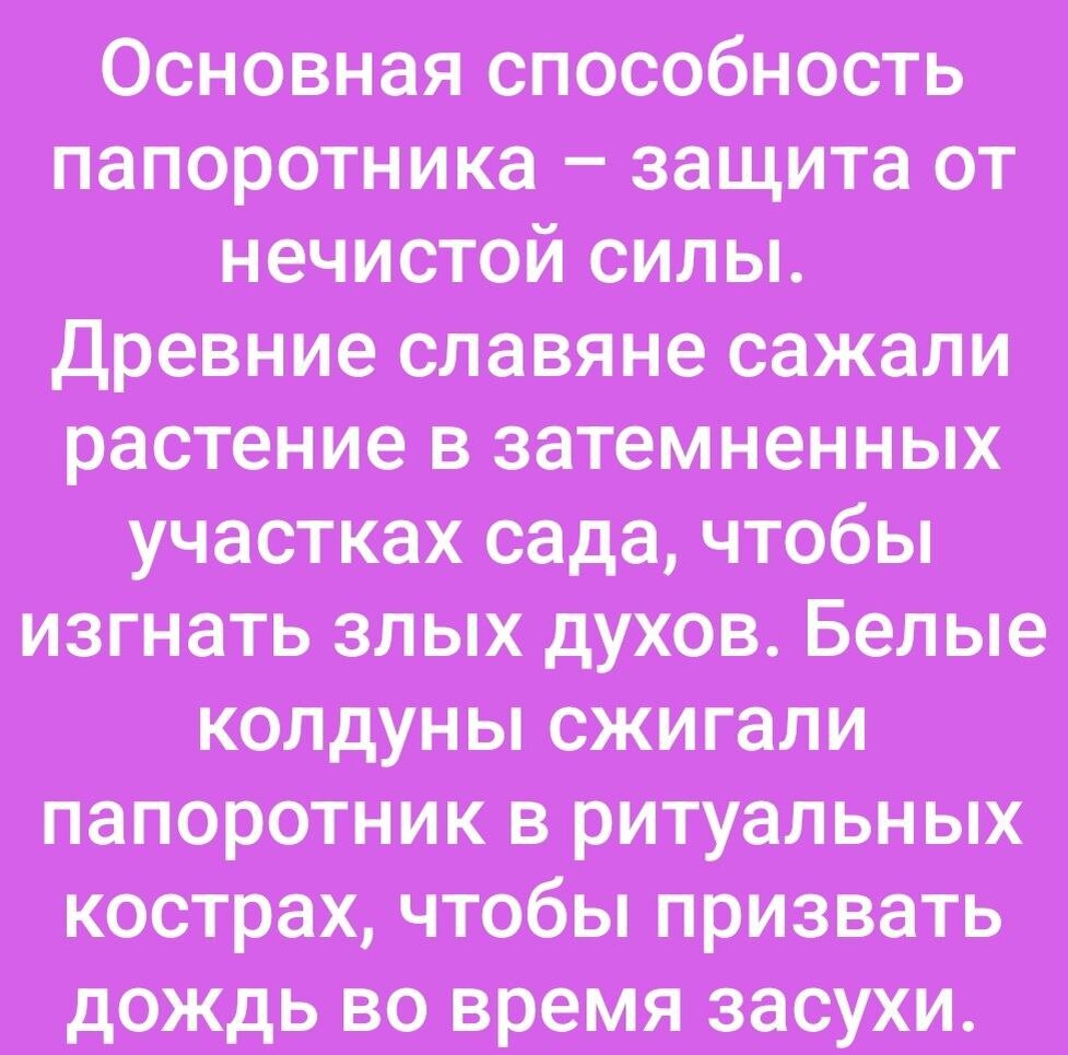 Ведьмёнш. По следам легенды. Про родник, про духов Велеса и про зов |  Ведьмины подсказки. Мифы, фэнтези, мистика | Дзен