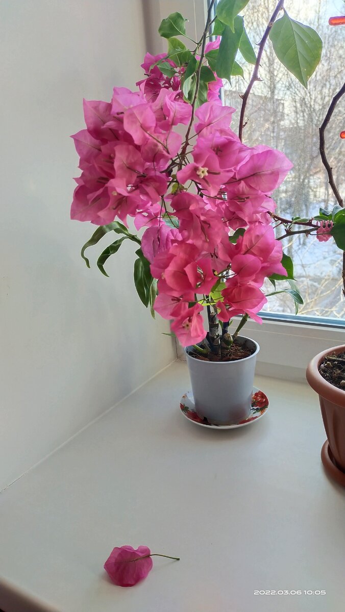 Фото от 6 марта 2022 года. 