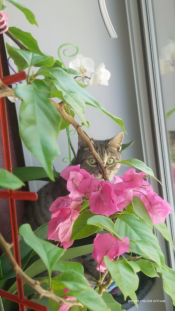 Фото от 5 мая 2022 года. 