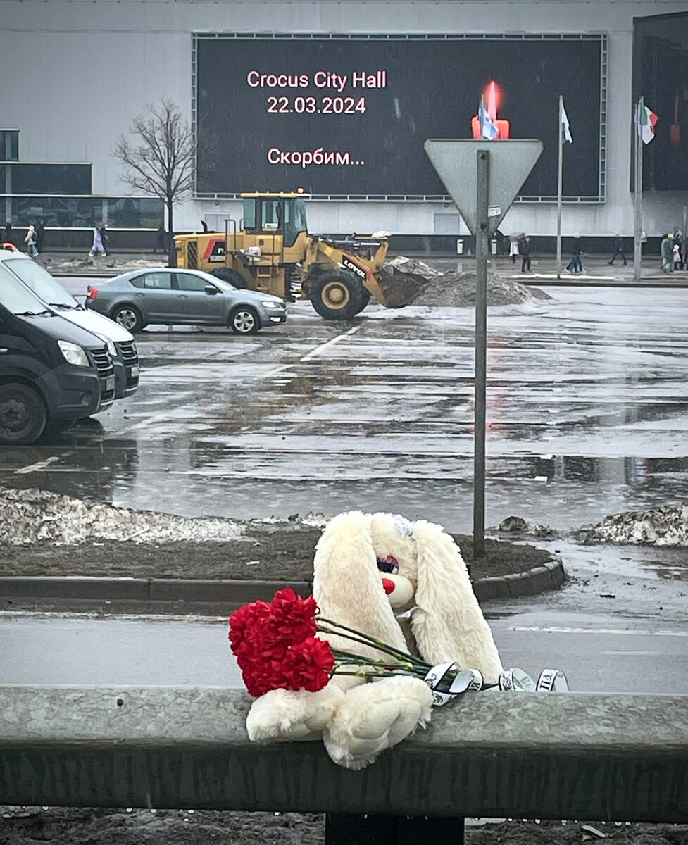 Здесь слов не нужно. Просто больно