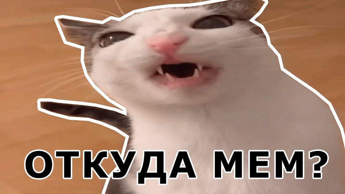 "Кот хрустит (Crunchy Cat)" популярный мем с бело-коричневой кошкой, которая хрустит, поедая корм.