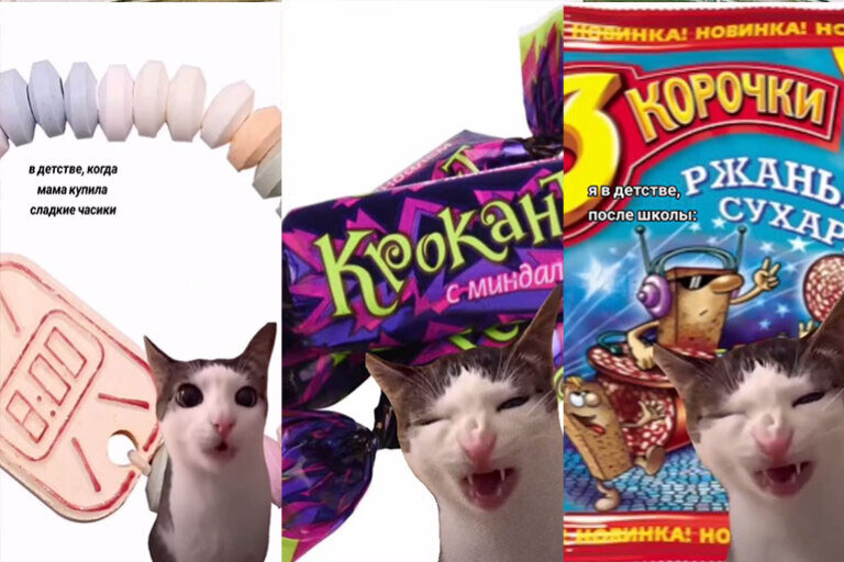 "Кот хрустит (Crunchy Cat)" популярный мем с бело-коричневой кошкой, которая хрустит, поедая корм.-2