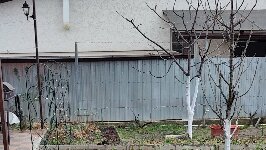 село красносельское динского района. станица динская село красносельское. погода красносельском краснодарского края. динской район краснодар. красносельский пгт гулькевичский район ул строителей.