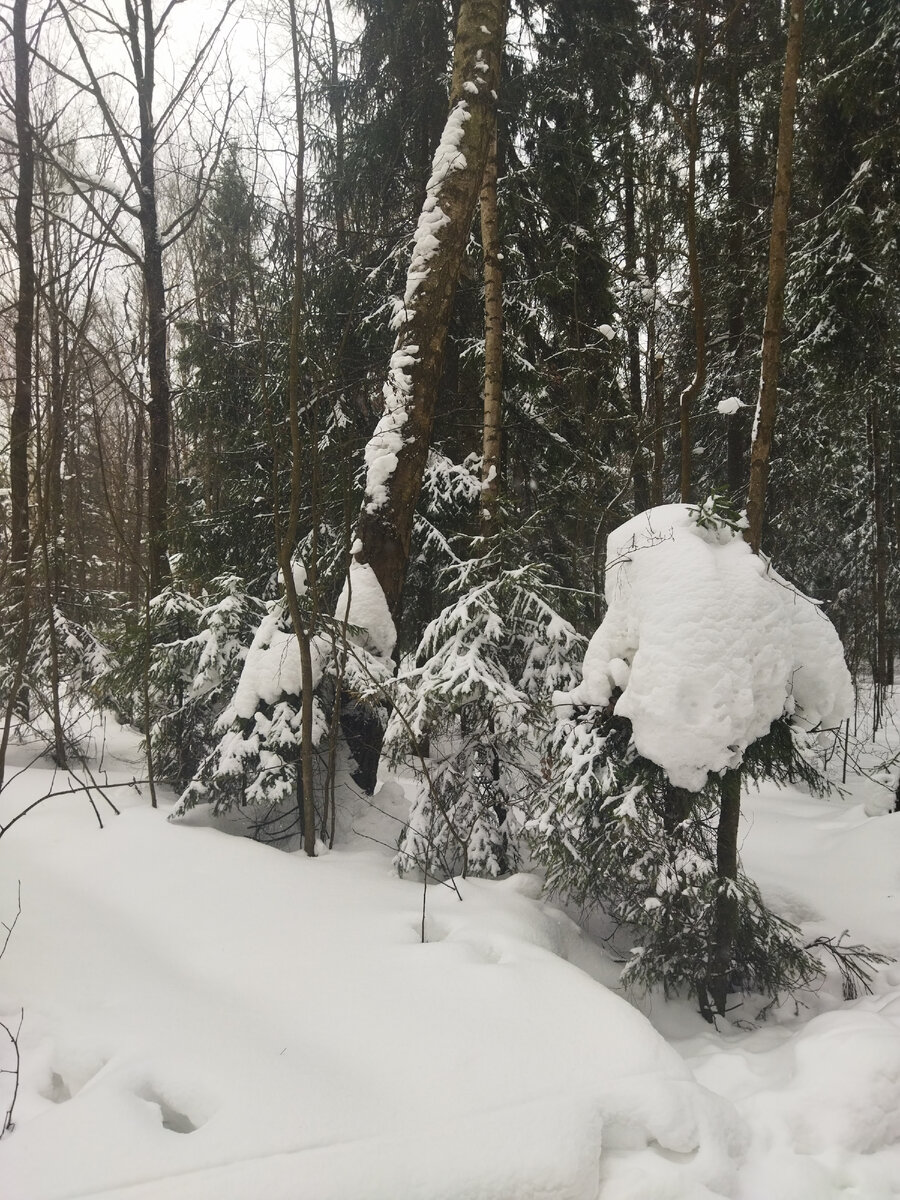 25 февраля 2024 г#