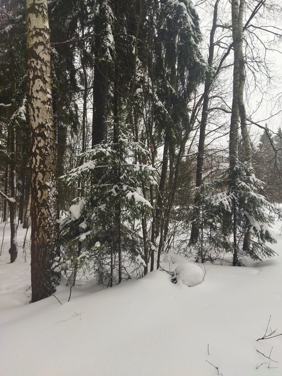 25 февраля 2024 г