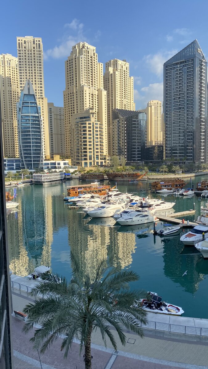 View from the room. I didn't rent the room itself because it sucks.