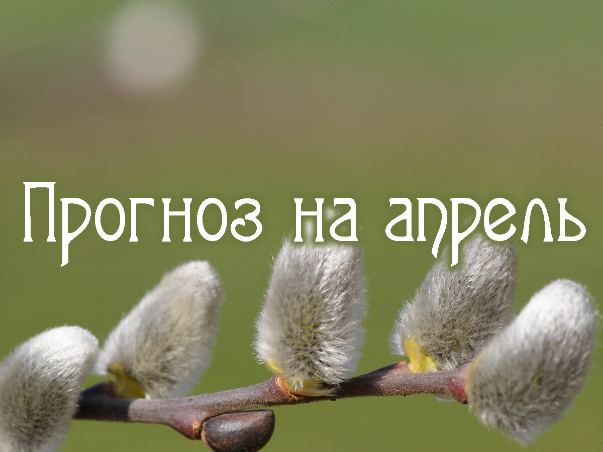 Астропрогноз на апрель 2024 года