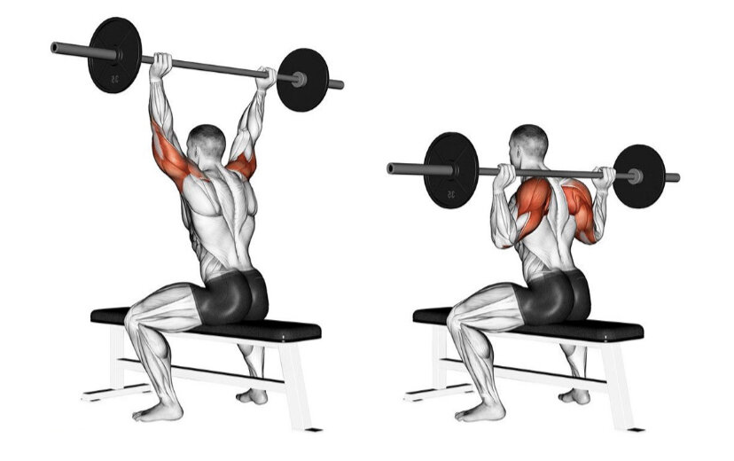 Жим штанги сидя позволяет прицельно отработать дельты