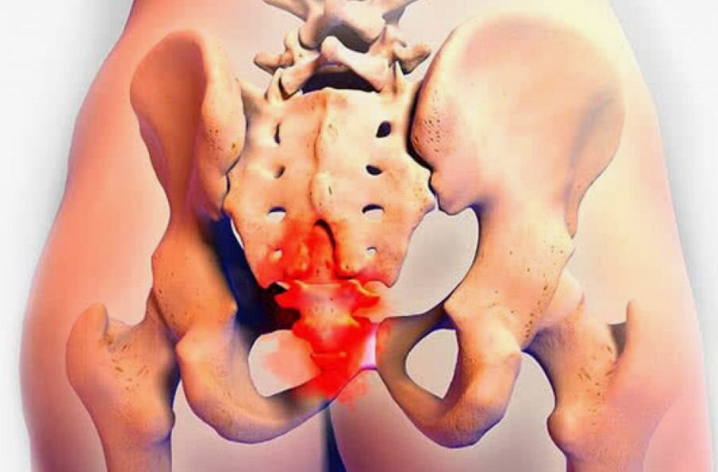 Sacrum As Spinal Bone Structure Anatomical Description Outline Diagram Stock Vec