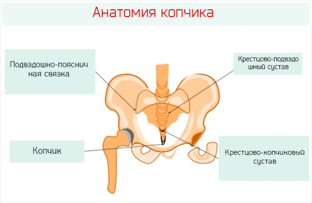 При сидении на стуле болит копчик