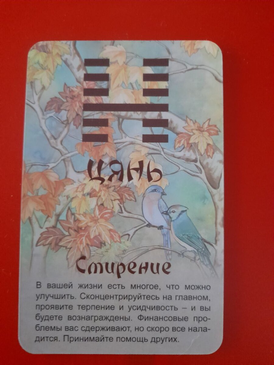 фото  автора