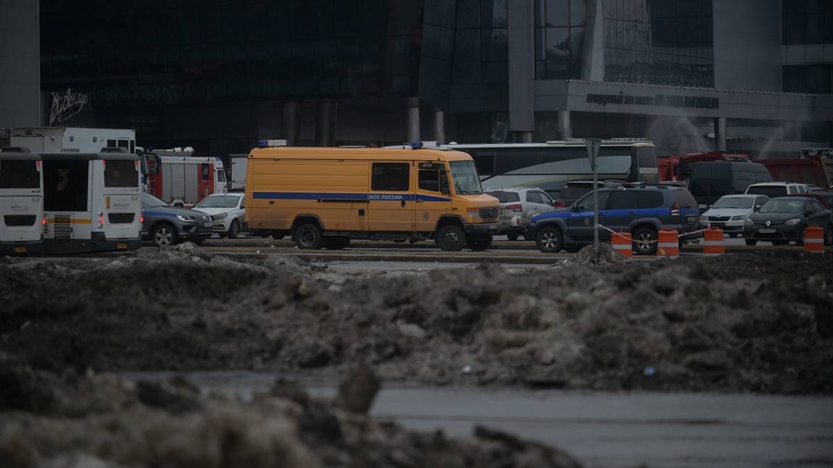    Фото: Александр Кочубей / Вечерняя Москва