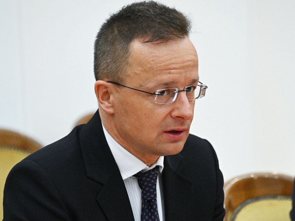   Министр иностранных дел и внешнеэкономических связей Венгрии Петер Сийярто на переговорах с министром иностранных дел Белоруссии Сергеем Алейником в Минске© Sputnik / Виктор Толочко