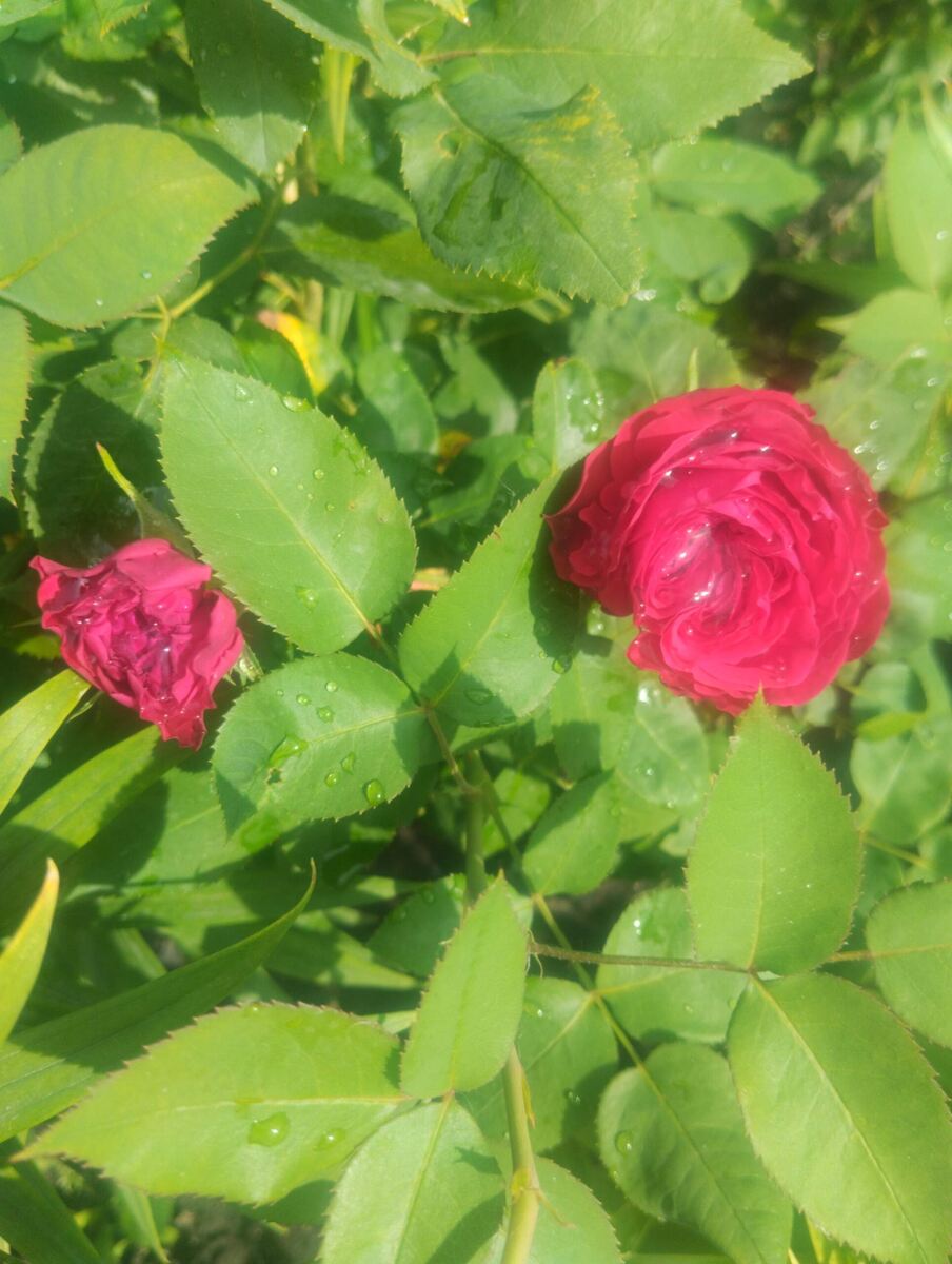 фото Татьяны