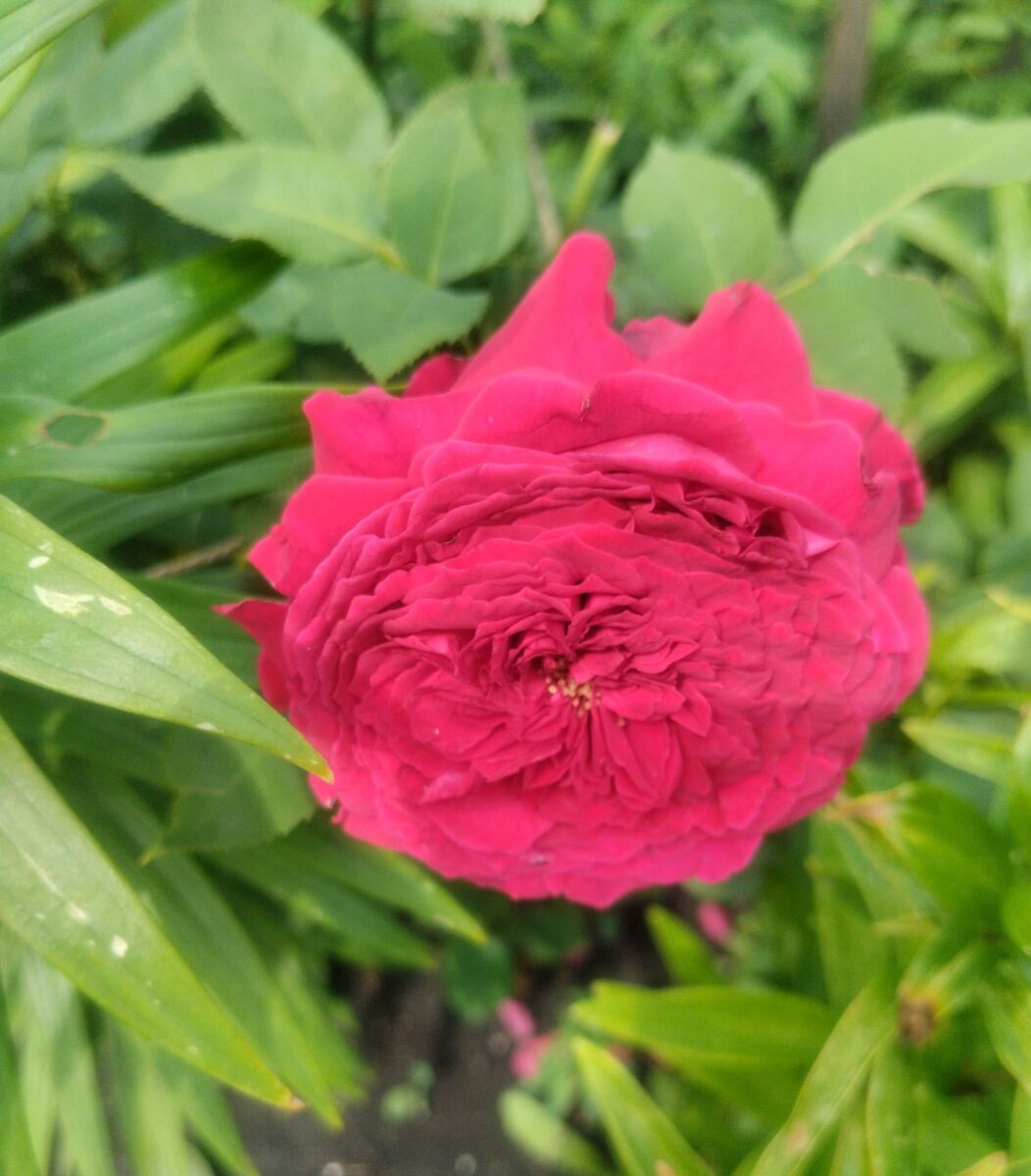 фото Татьяны