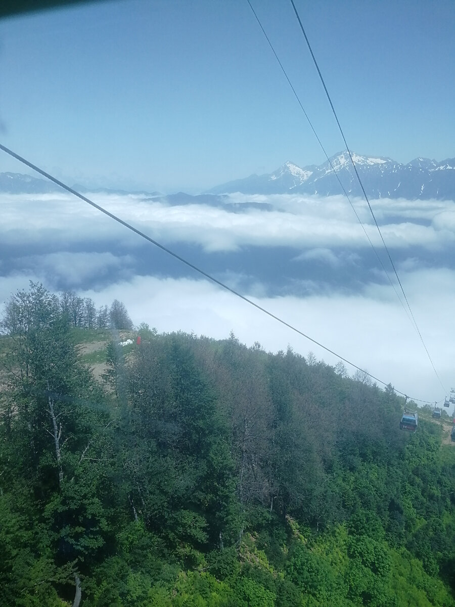 Поднялись на фуникулере на Красную поляну, а оттуда дальше