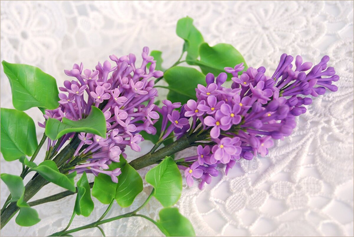 Яндекс картинки