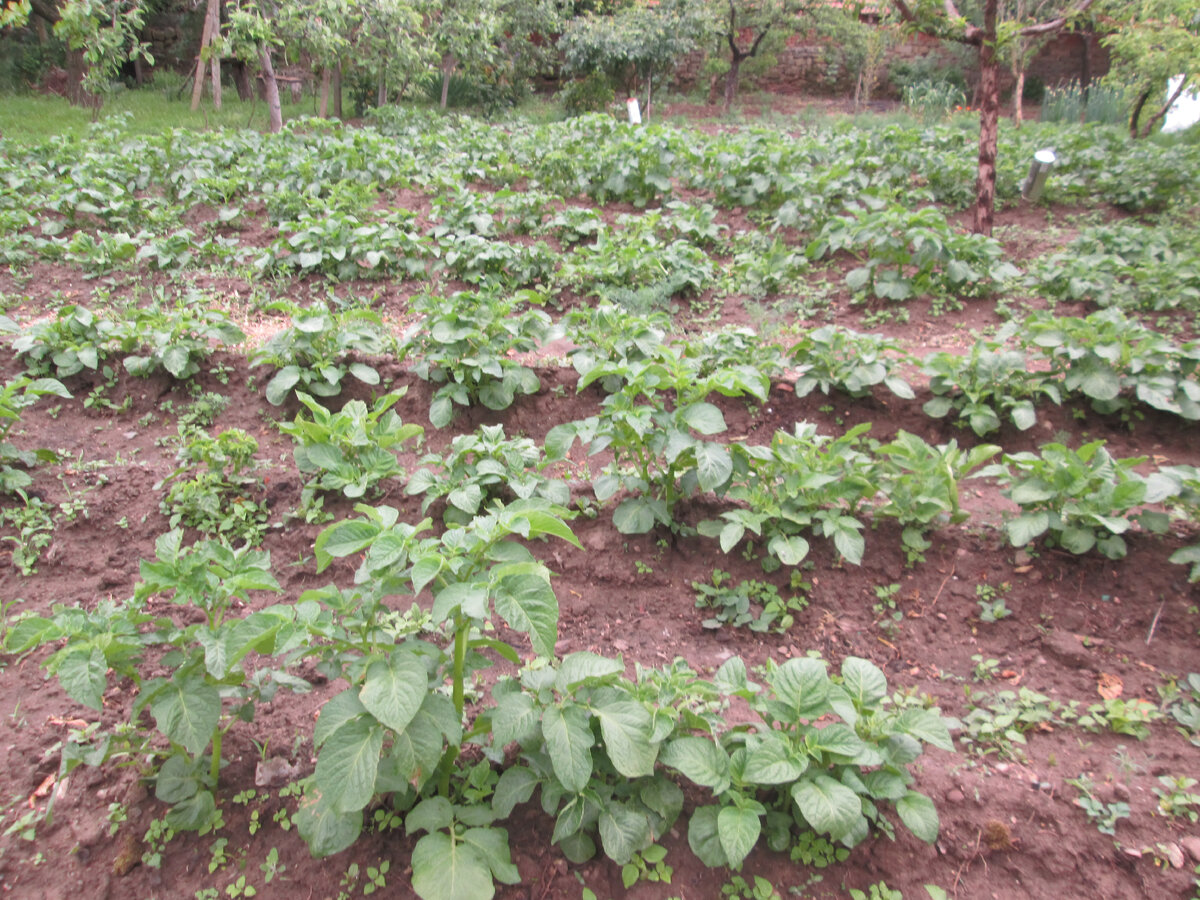 из архива автора, май 2023 года