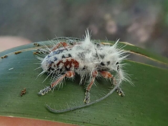 Источник: https://clck.ru/39eBtA