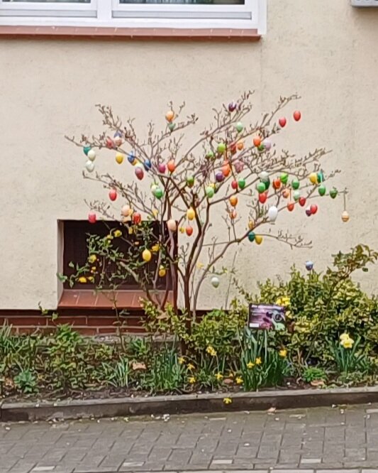 Возле соседнего дома.