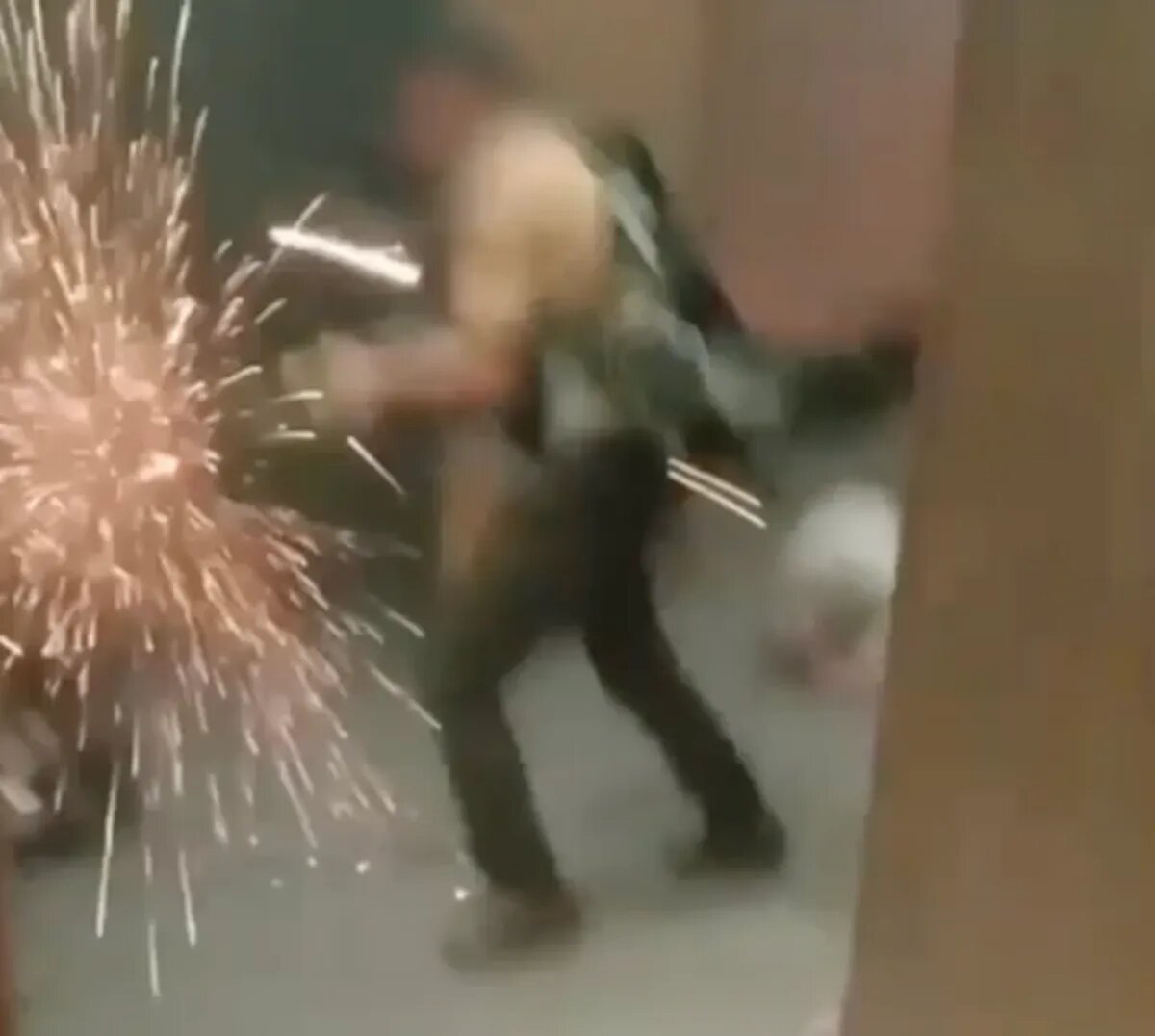 Фото: скрин с видео t.me/directorate4📷
