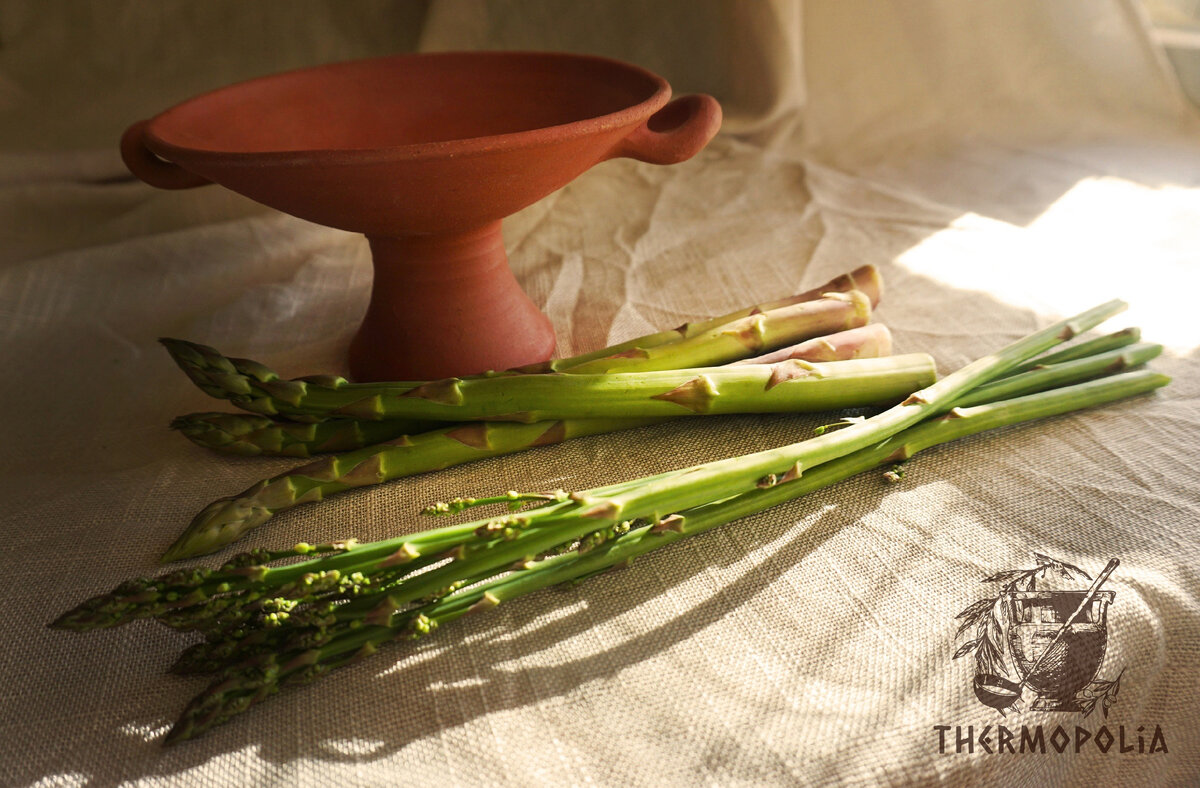 Древнеримская кухня. Asparagus. Спаржа.Asparagus officinalis.ἀσπάραγος  (aspáragos), ἀσφάραγος (aspháragos) | Эльвира Н. хозяйка Термополии | Дзен