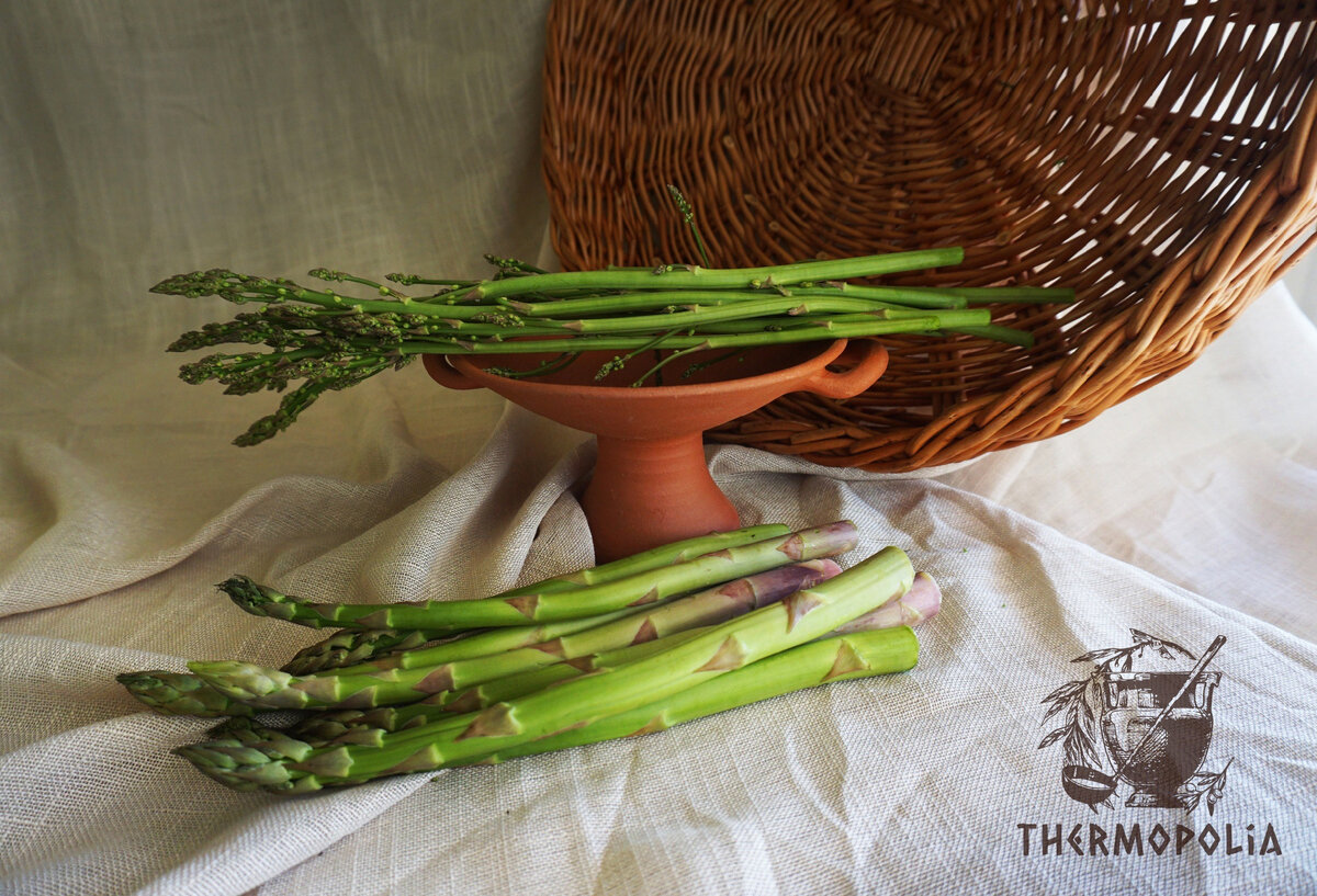 Древнеримская кухня. Asparagus. Спаржа.Asparagus officinalis.ἀσπάραγος  (aspáragos), ἀσφάραγος (aspháragos) | Эльвира Н. хозяйка Термополии | Дзен