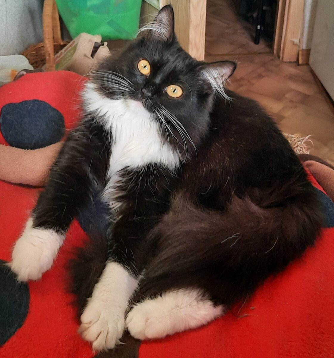 2 english all over the world