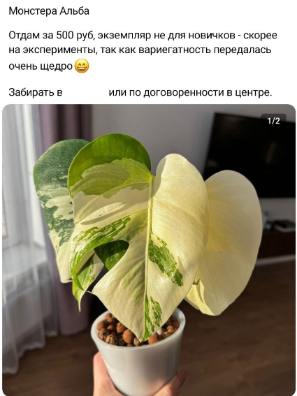 Объявление из группы. Ну как пройти мимо, ещё и за такие копейки?