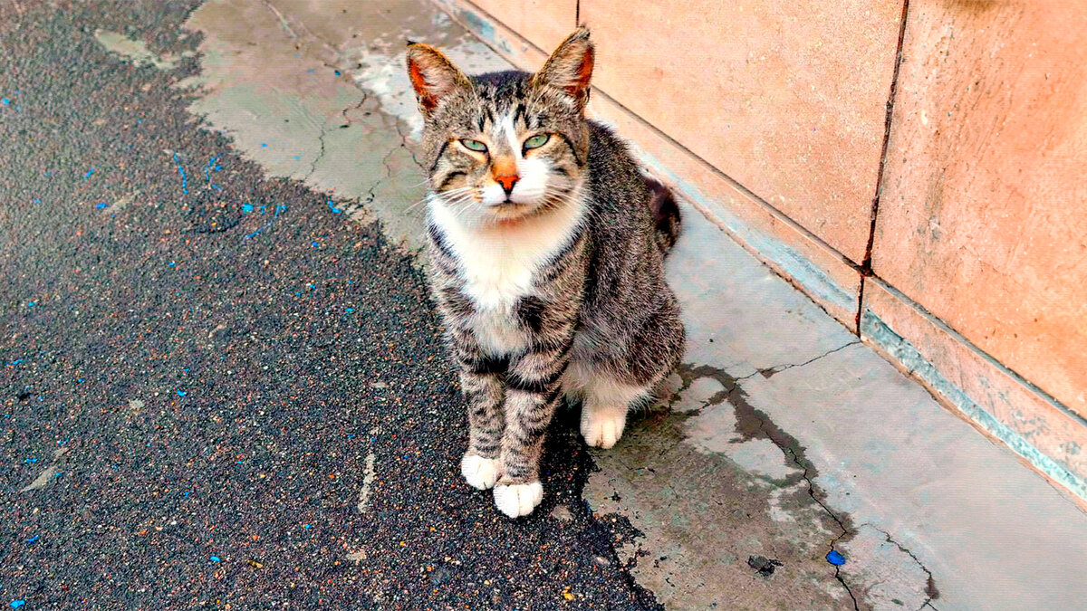 источник фото: s4.fotokto.ru