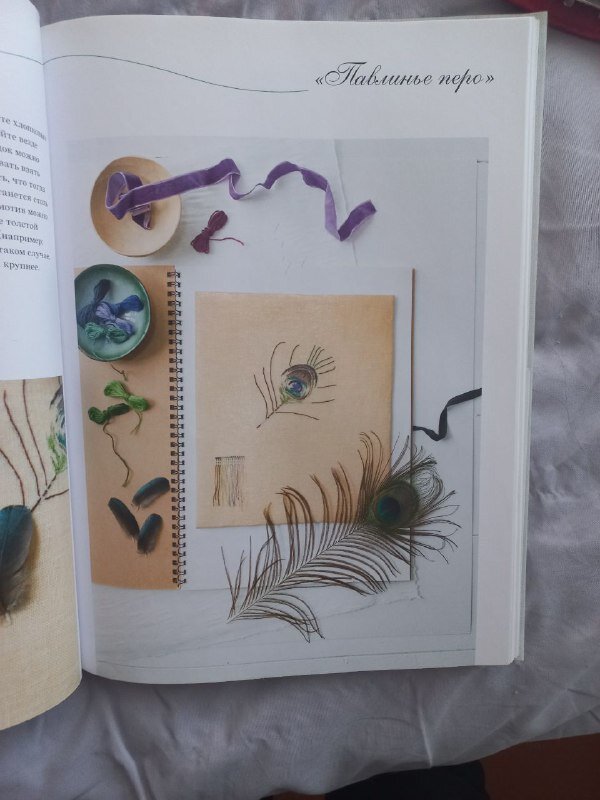 Фото из книги MTSA