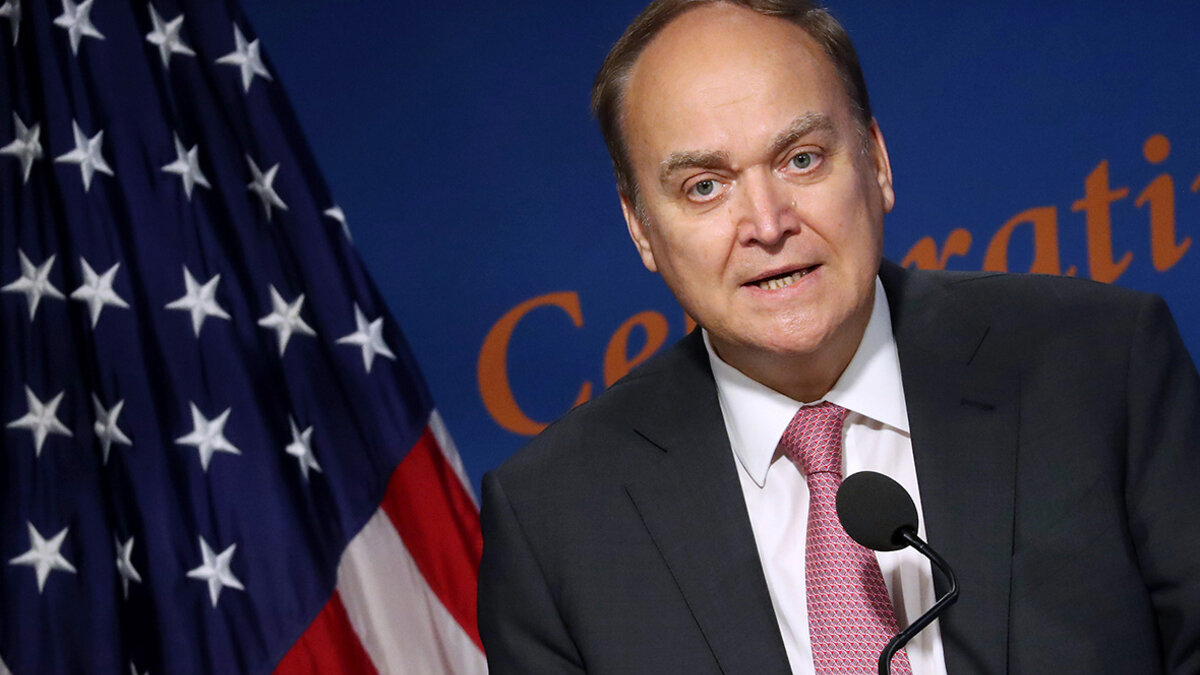 Фото взято из открытых источников