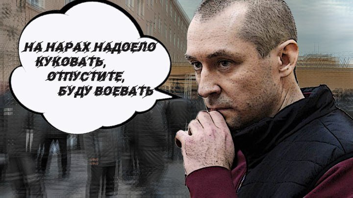 КОЛЛАЖ ЦАРЬГРАДА