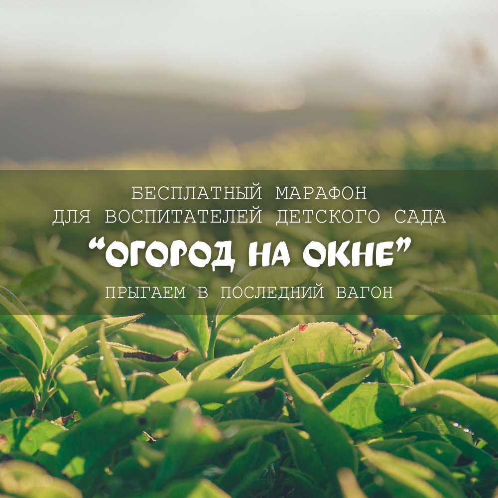 Огород на подоконнике по мотивам сказки 