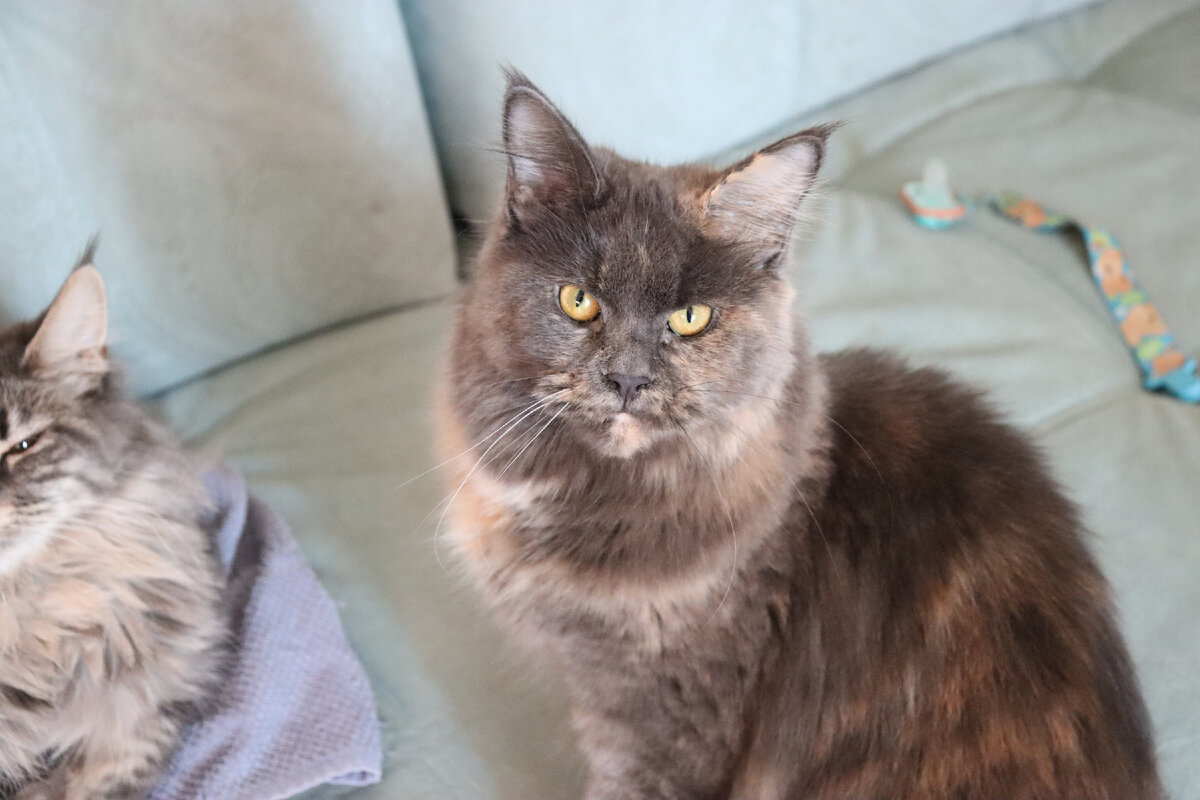 Фото из личного архива.