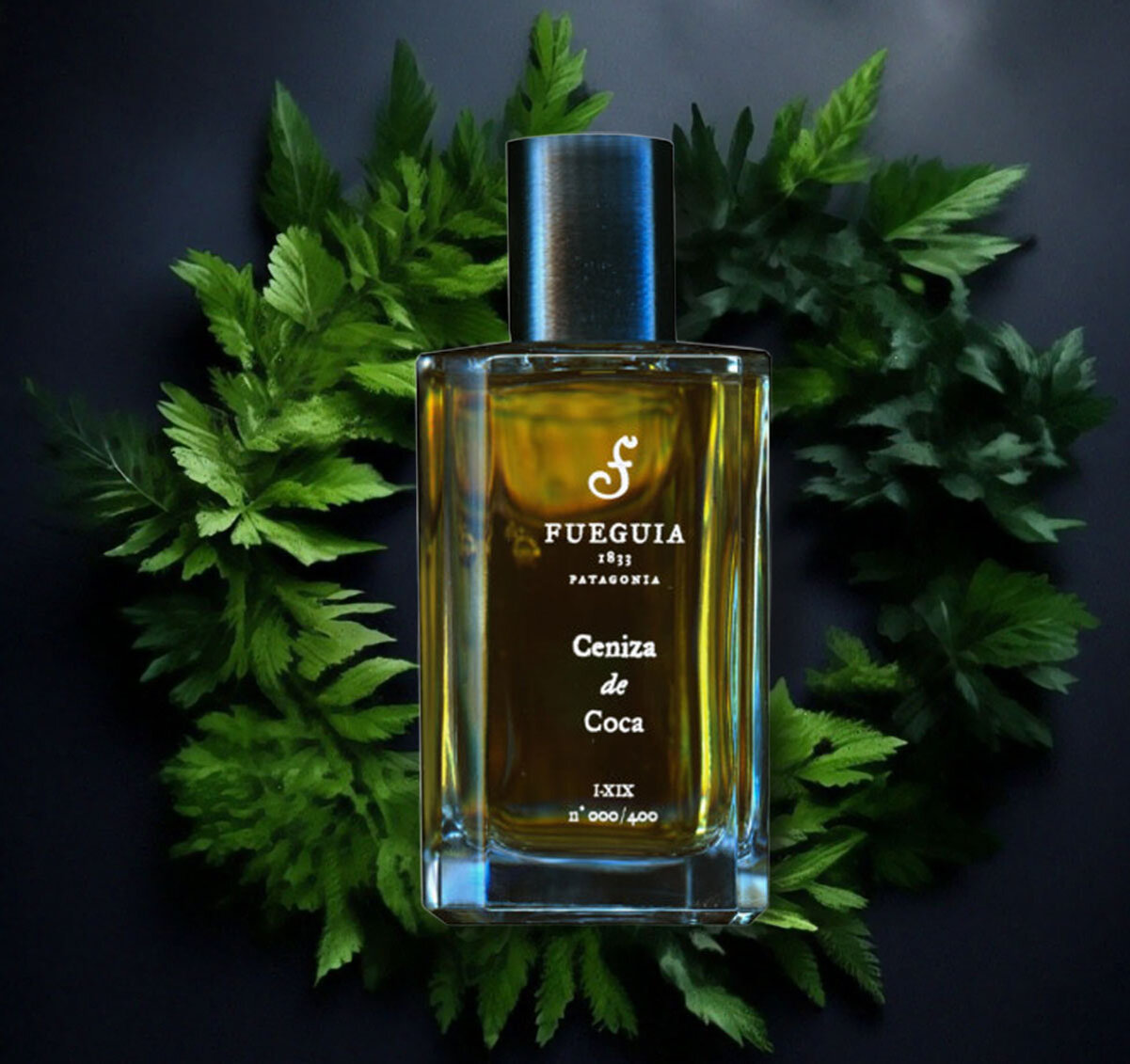 группа: кожаные ноты: кока, стиракс, серая амбра
выпущен в 2017 году
парфюмер: Julian Bedel