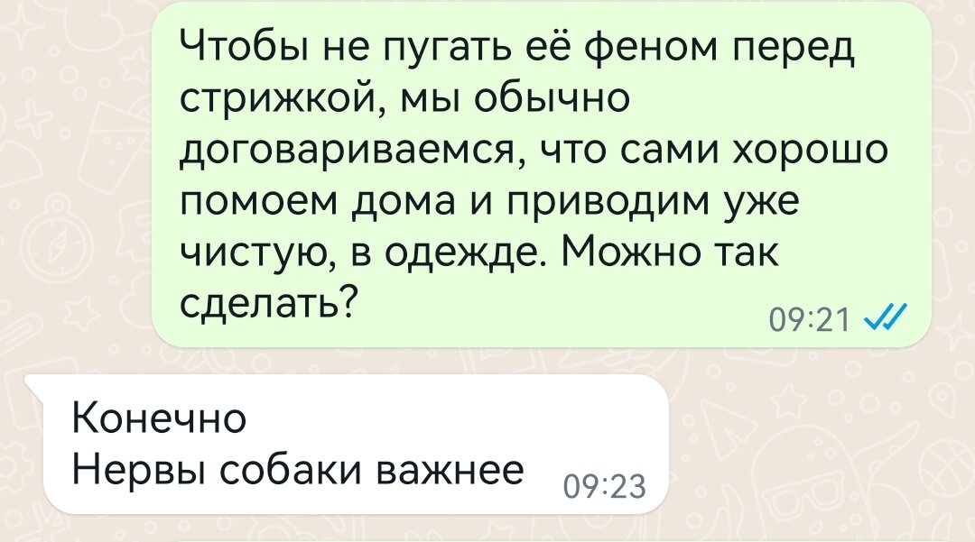 Скриншот личной переписки