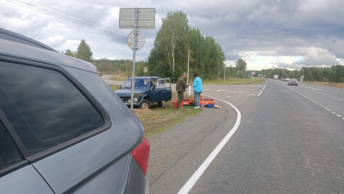 В путешествии всегда останавливаюсь на дороге и покупаю ягоды у местных жителей, за которыми они  сами  ходят.