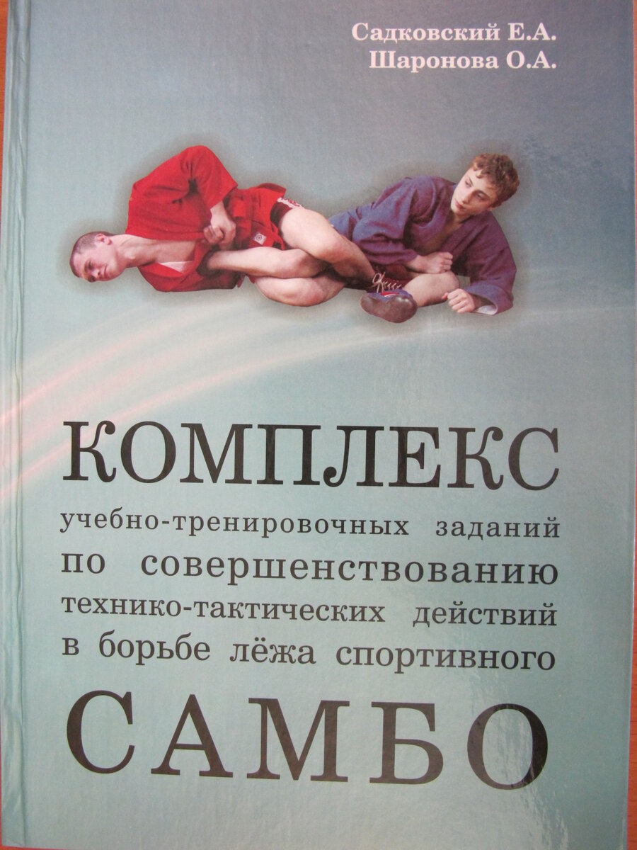 Вот на такой обложке мы в итоге остановились. Хотя сильно много вариантов и возможностей из-а ограничений в сроках выхода книги у нас не было.