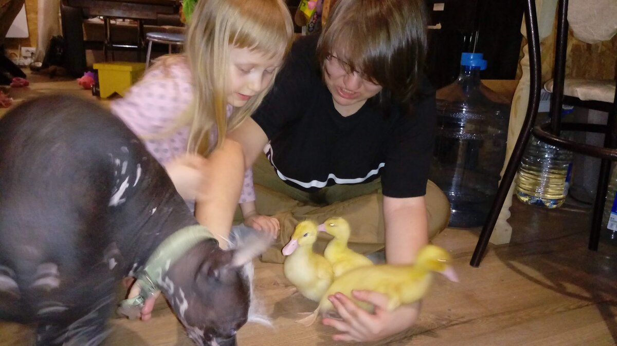 Дети были в восторге!