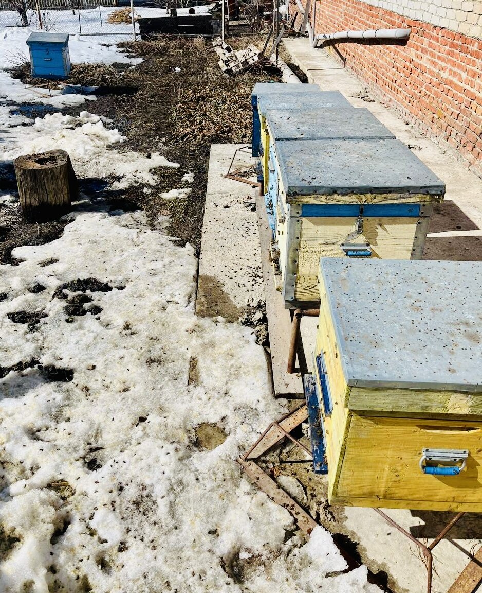 Заняли свои места