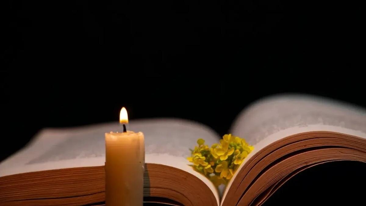    Фото: pexels.com